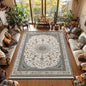 RAKKS Retro Style Rugs for Bedroom Large Area Living Room Decoration