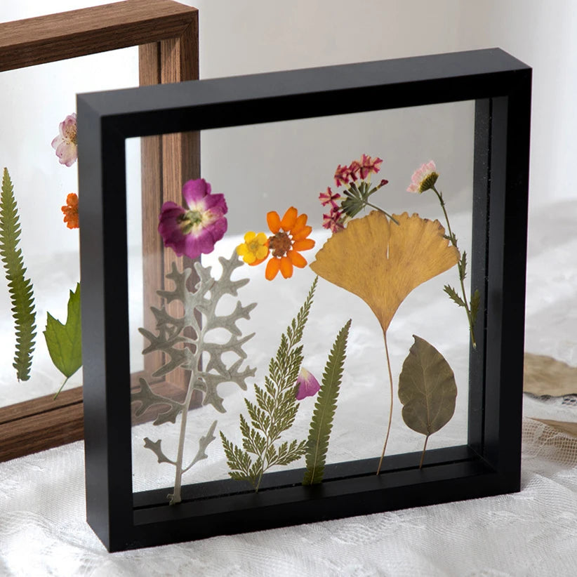 Wood Specimen Frame With Real Glass