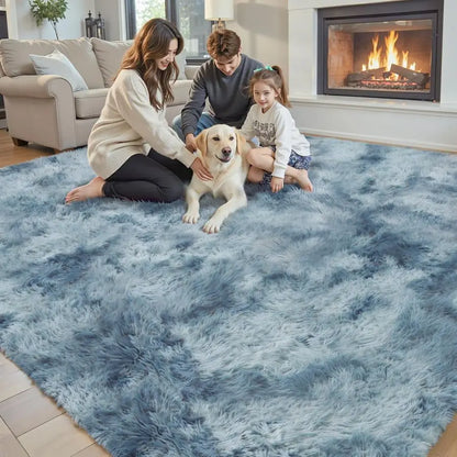 Area Rugs for Living Room Bedroom Fluffy, Large Area Rug  Soft Plush Furry Bedside Rug, Area Rugs