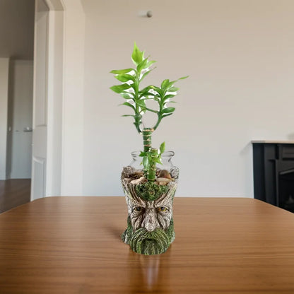 1Pc, Creative and Funny Expression Book Tree Stump Old Man Resin Vase,