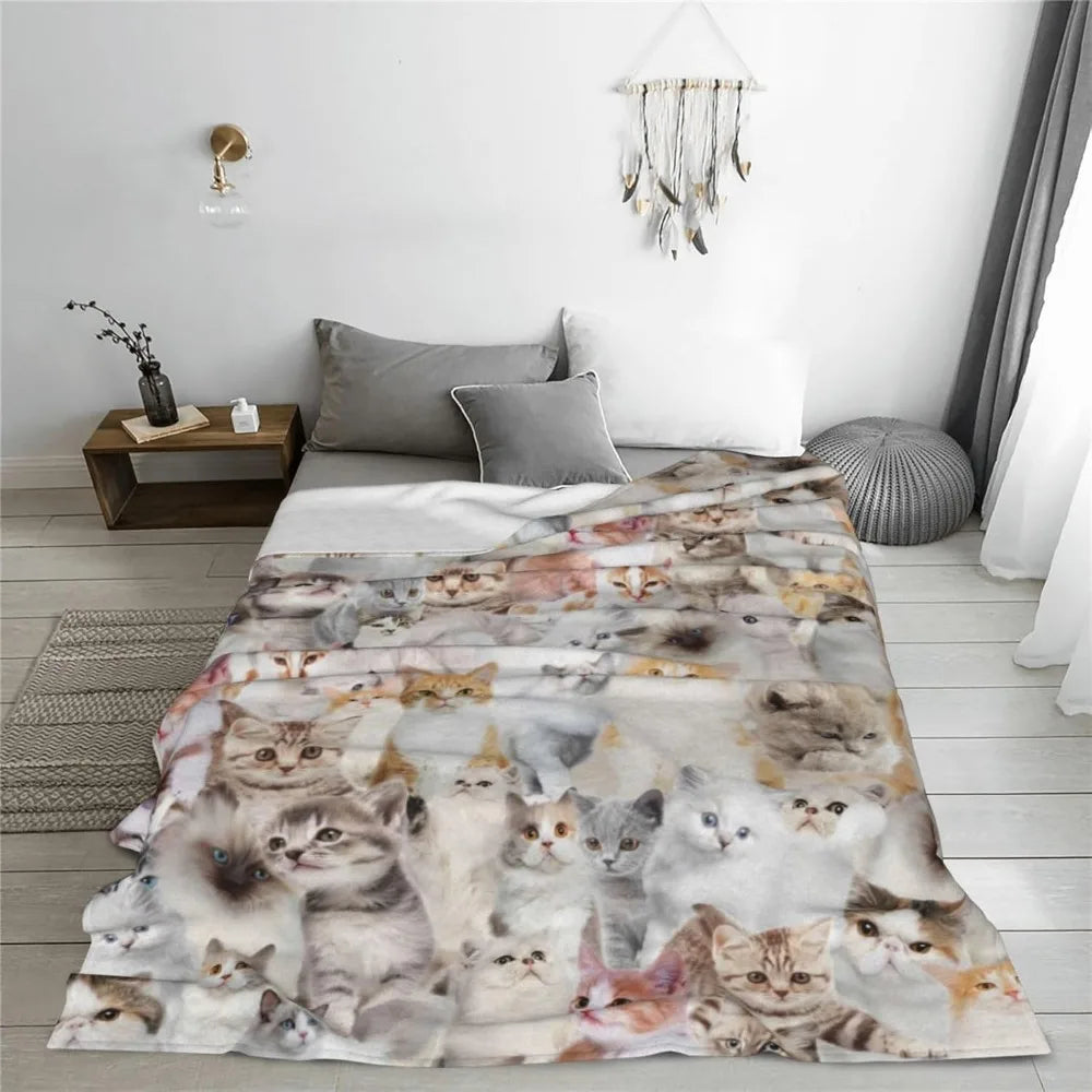 Cute Cat Throw Blanket
