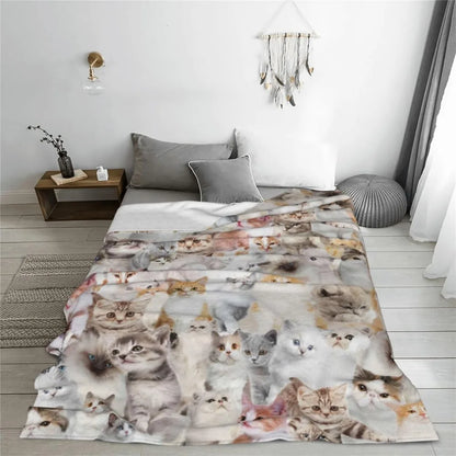 Cute Cat Throw Blanket