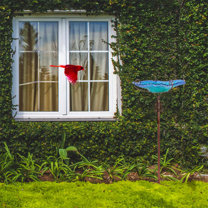 Large Outdoor Glass Bird Bath Garden Feeding Bowl