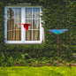 Large Outdoor Glass Bird Bath Garden Feeding Bowl