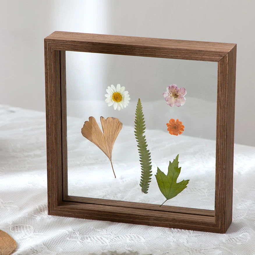 Wood Specimen Frame With Real Glass
