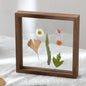 Wood Specimen Frame With Real Glass