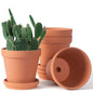 6 inch Terracotta Clay Pots for Plants with Saucer Medium Terra Cotta Plant Pots with Drainage Hole Flowerpot with Tray Terraco