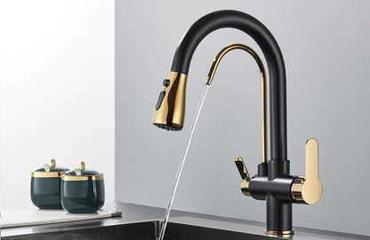 Quyanre Matte Black Filtered Crane For Kitchen Pull Out Spray 360 Rotation Water Sink Mixer Kitchen Faucet