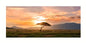 Beach Sunset Wall  Large Landscape Canvas Painting