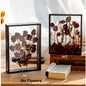 4cm Deep Transparent Shadow Box Frames