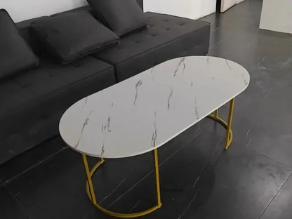 Minimalist Storage Oval  Modern Design Coffee Table