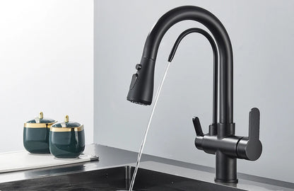 Quyanre Matte Black Filtered Crane For Kitchen Pull Out Spray 360 Rotation Water Sink Mixer Kitchen Faucet