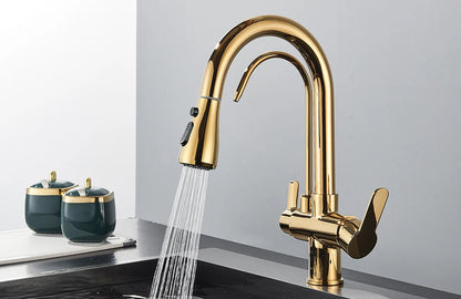 Quyanre Matte Black Filtered Crane For Kitchen Pull Out Spray 360 Rotation Water Sink Mixer Kitchen Faucet