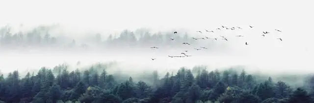 Landscape Canvas Painting For Living Room Bedroom