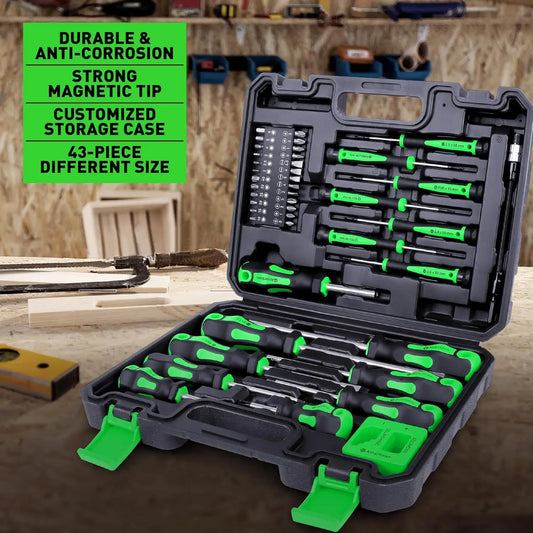 Magnetic Screwdriver Set, 43-Piece with Case, Includes Slotted, Phillips, Hex, Pozidriv, Torx - Green