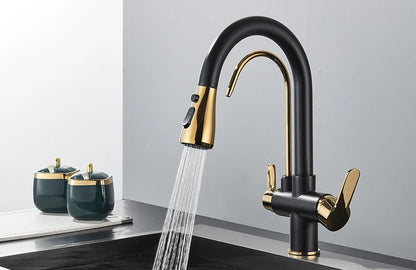 Quyanre Matte Black Filtered Crane For Kitchen Pull Out Spray 360 Rotation Water Sink Mixer Kitchen Faucet