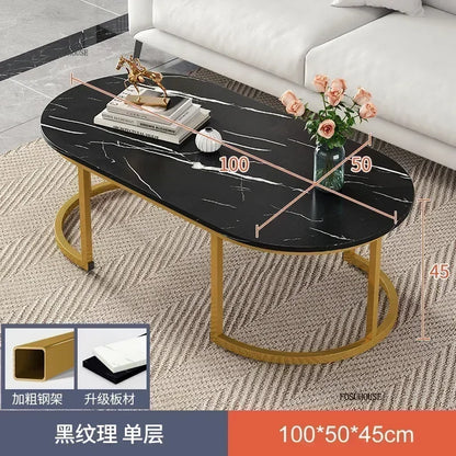 Minimalist Storage Oval  Modern Design Coffee Table