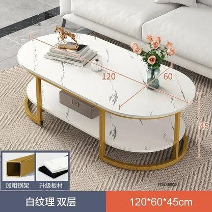 Minimalist Storage Oval  Modern Design Coffee Table